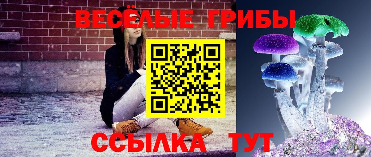 Амурск  Галлюциногенные грибы прущие грибы  Вход с VPN 